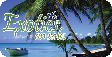 Cruise Planners Specials